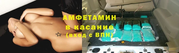 стаф Вязьма